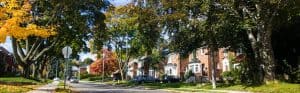 Photograph of Leaside streetscape